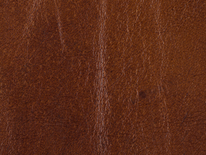 SS Exton Stationary Sofa - Image 2